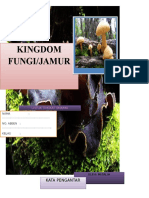 Lks Kingdom Fungi