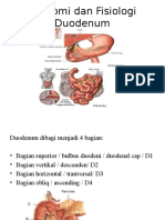 Anatomi Duodenum1
