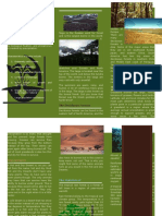 Land Biome Brochure