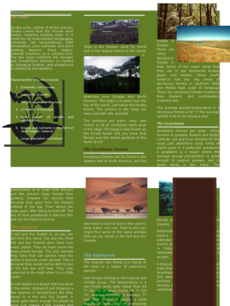 biome travel brochure project