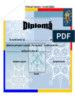 Diploma Flori de Gheata PDF