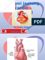 Anatomi Jantung-(1) PPN