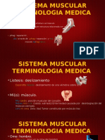 Sistema Muscular 