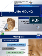 Trauma Hidung