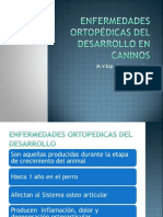 Enfermedadesortopdicasdeldesarrollo2013 131117064006 Phpapp01