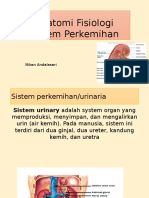 Anatomi Fisiologi Sistem Perkemihan