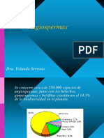 Angiospermas PDF