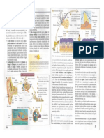 Contextos naturales 8° Pag 56 y 47