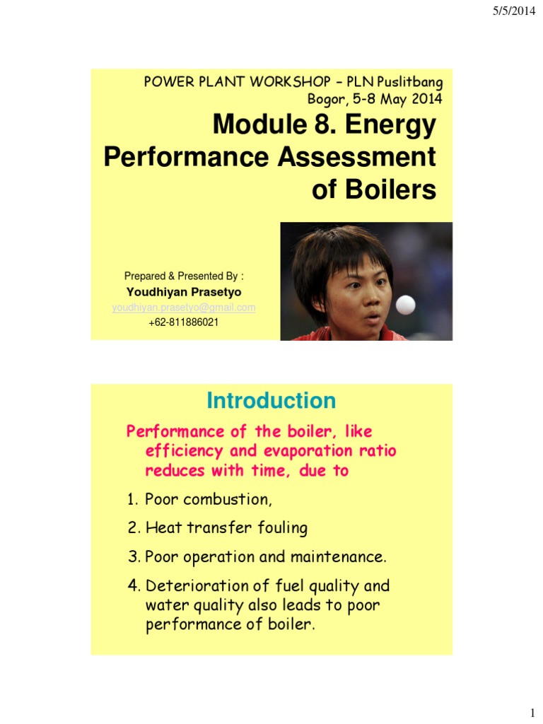 Boiler Efficiency Performance Assessment | PDF | Boiler | Combustion