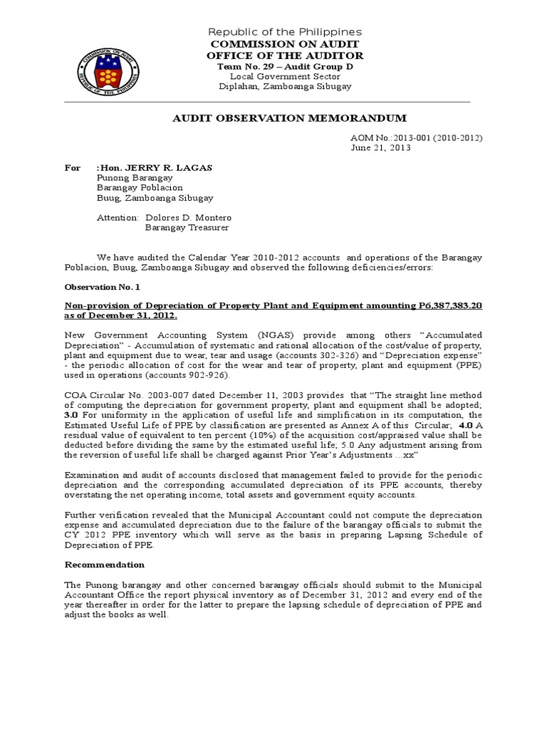 AOM Sample (Brgy.) PDF Ownership Depreciation