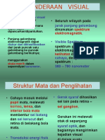 Pengindraan Visual