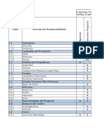 Plantilla responsabilidades proyecto