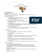 Funciones Básicas de Las Organizaciones