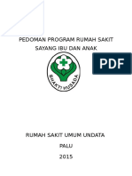 Pedoman Program Rumah Sakit Sayang Ibu Dan Anak