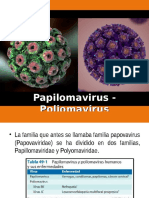 PAPILOMA Y POLIOMAVIRUS.ppt