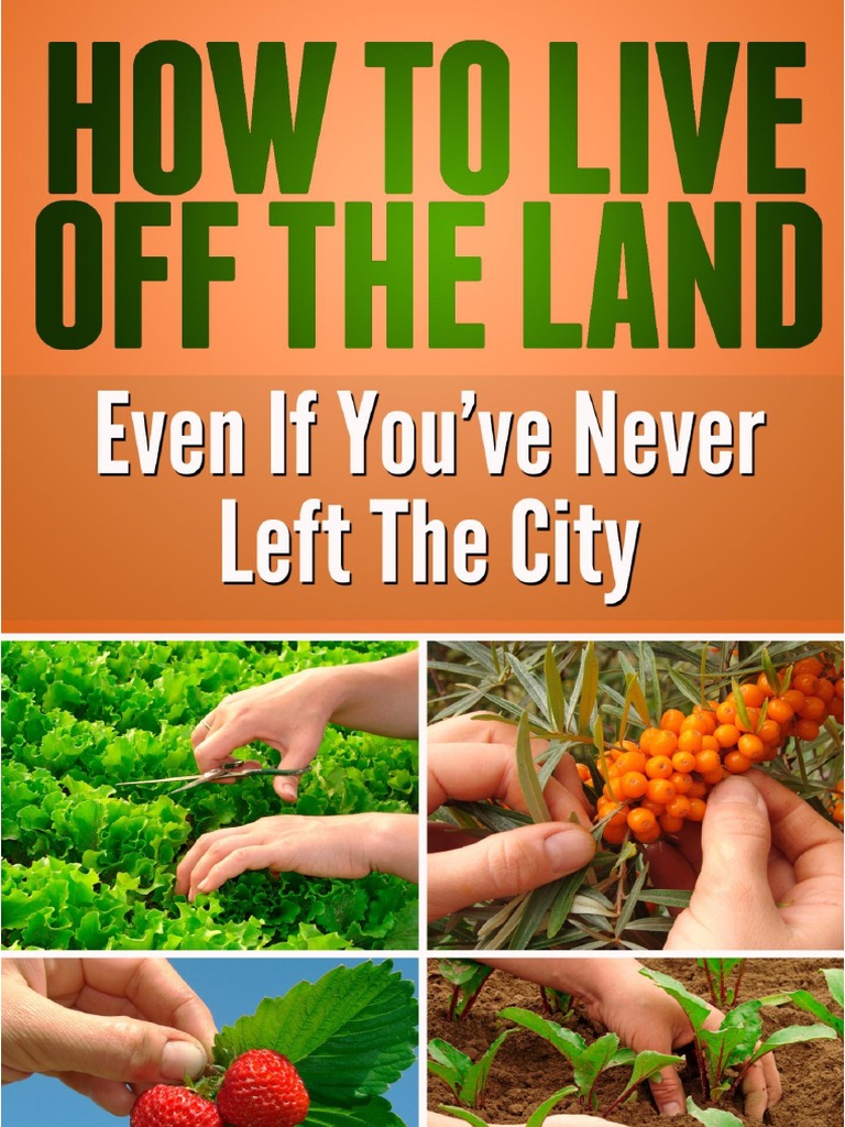 How To Live Off The Land PDF Permaculture Compost