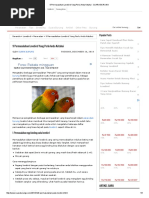 Download 9 Permasalahan Lovebird Yang Perlu Anda Ketahui - SUARA BURUNG by Iwan Baja Surabaya SN296665964 doc pdf