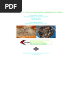 Download Pengurusan Ternakan Udang Galah Macrobrachium Resenbergii Secara Komersil by wali_croc SN296666011 doc pdf