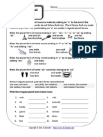 Irregular Plural Nouns