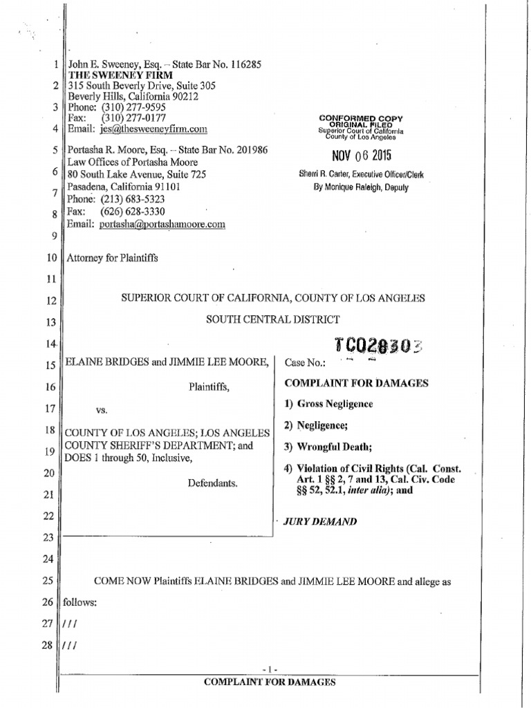 Complaint Against Los Angeles County Government | PDF