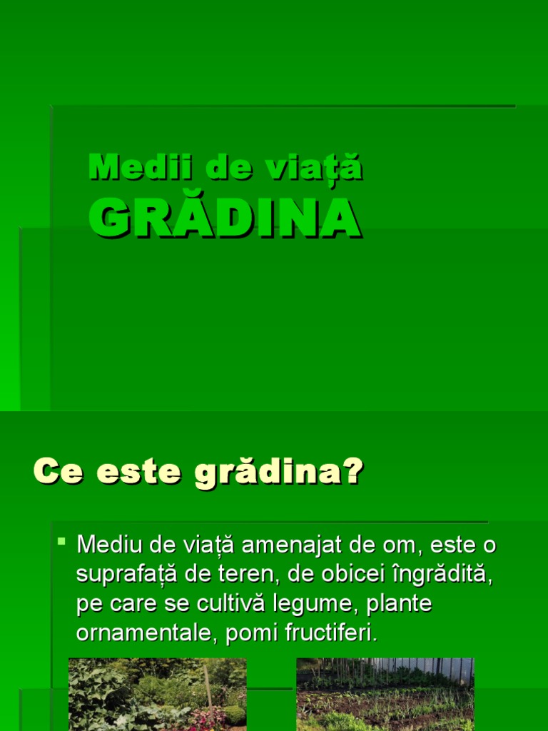 Gradina | PDF