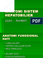 Anatomi Sistem Hepatobilier