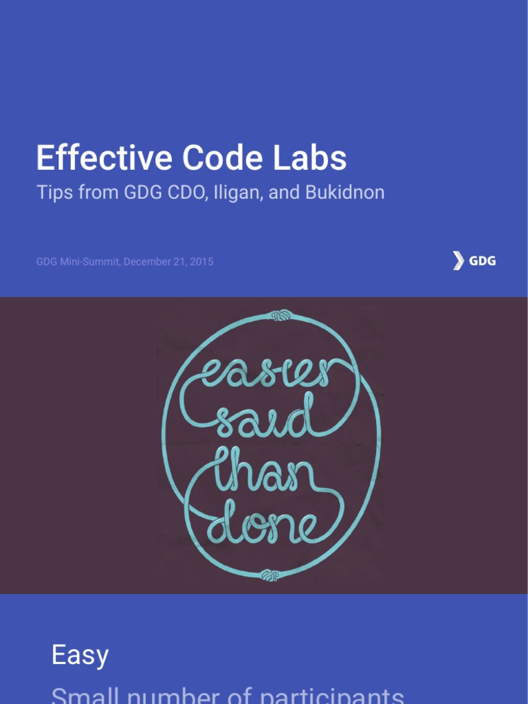 Effective Code Labs Insights | PDF