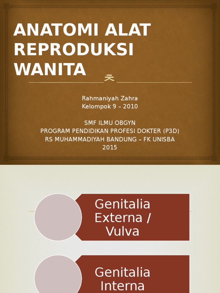 CSS Anatomi (Rahma) OBGYN | PDF