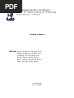 Relatório- Pêndulo de Torção