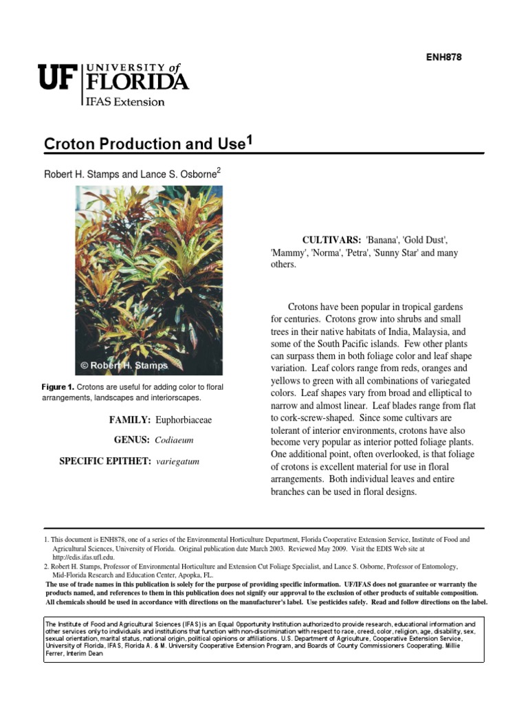 Croton Production PDF Soil Plants