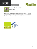 Download Pulsatilla_vulgaris_Plantlifedossier_FINAL_Apr11pdf by Manda Manu SN296701252 doc pdf