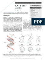 Dna Structure