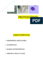 PROTOZOÁRIOS Aula+5 PDF