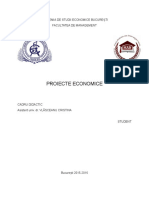 Proiecte Economice Management