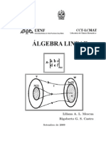 Apostila de Álgebra Lienar