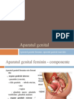 Aparatul Genital