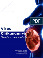 Infección por El Virus Chikungunya en Neo
