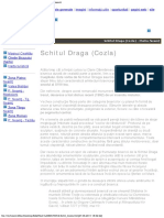 Schitul Draga (Cozla) PDF