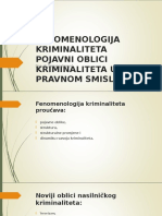 13 Fenomenologija Kriminaliteta Pojavni Oblici Kriminaliteta U Pravnom Smislu 1