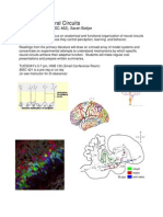 Functional Neural Circuits