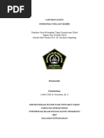 Download Tutorial Sgb by Kim SN296805797 doc pdf