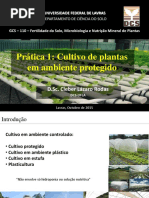 Primeira Aula Prática- Cultivo de Plantas em Ambiente Protegido