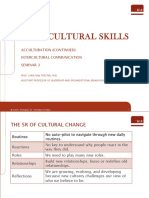 Intercultural Skills: Acculturation (Continued) Intercultural Communication Seminar 3