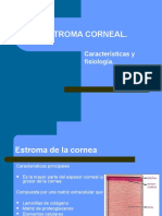 Estroma Corneal