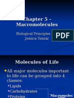 CH 5 - Marcomolecules