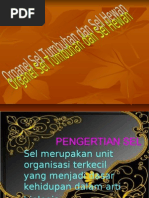 Download Organel Sel Tumbuhan Dan Hewan by aditayu26 SN29684301 doc pdf