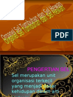Download Organel Sel Tumbuhan Dan Hewan by aditayu26 SN29684301 doc pdf