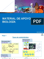 Clase 3 Material de apoyo CB31.ppt