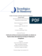 Purificación de Glucosa Isomerasa con DEAE-Cromatografía