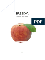 Bresk Va